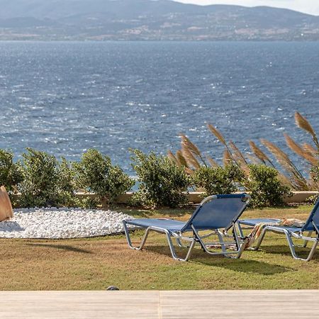 Dionysus House And Ariadne Apartment Stelida  Exterior foto