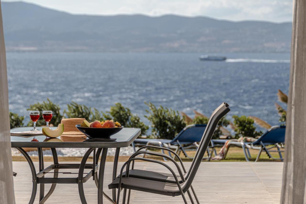 Dionysus House And Ariadne Apartment Stelida  Exterior foto